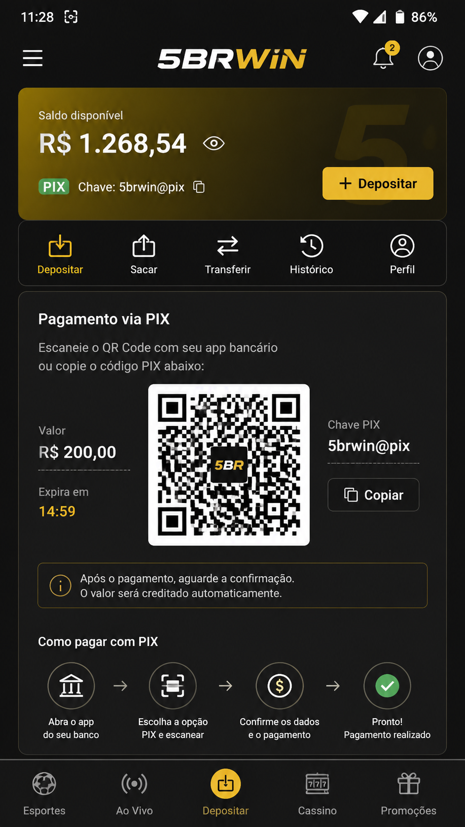 5brwin screenshot