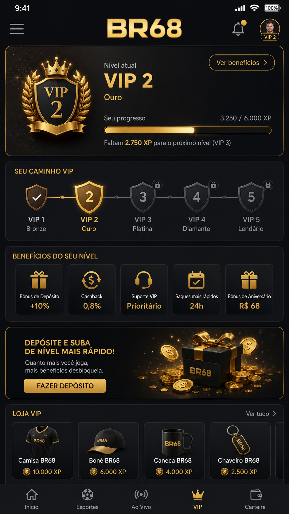 br68 screenshot