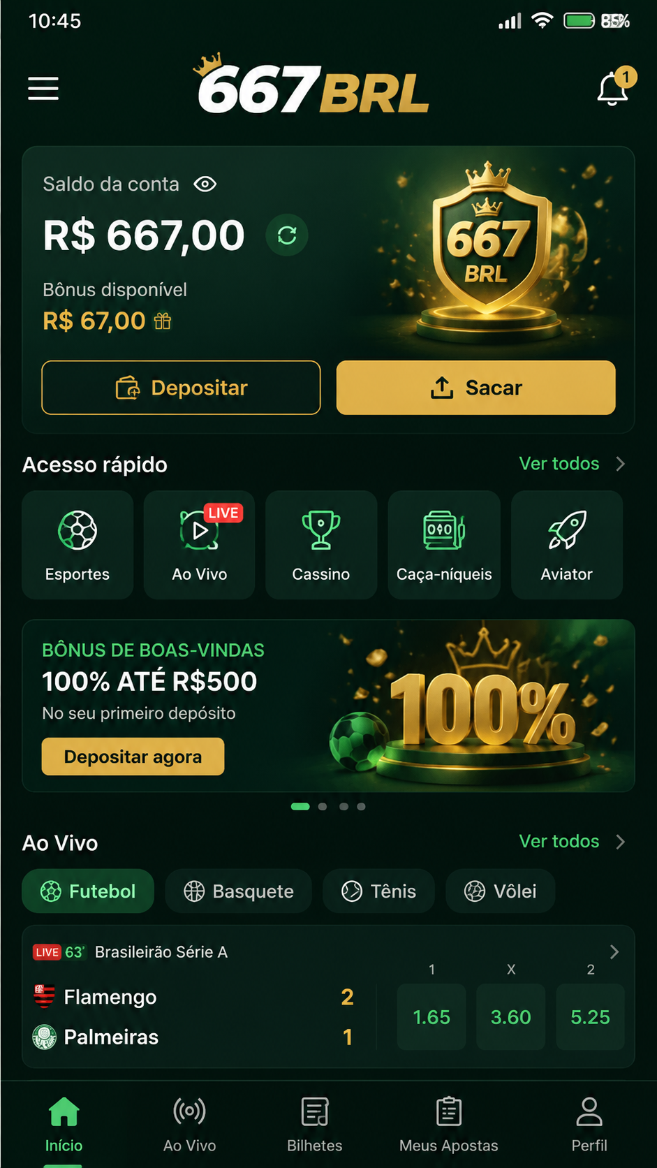 667brl screenshot