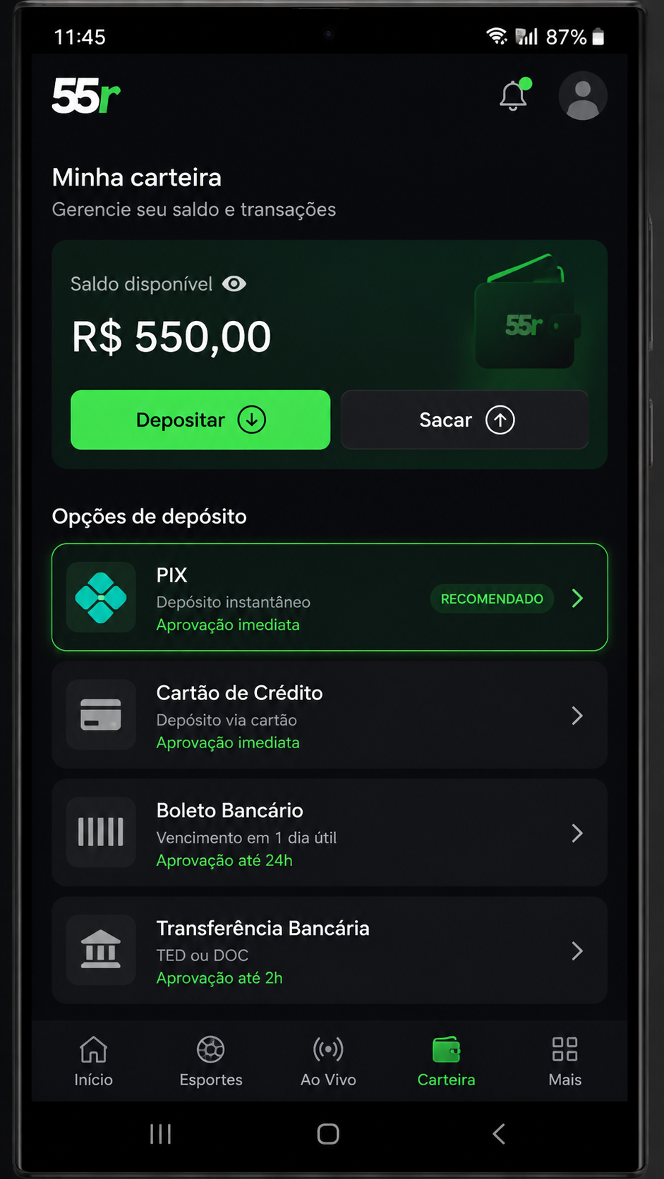 55r screenshot