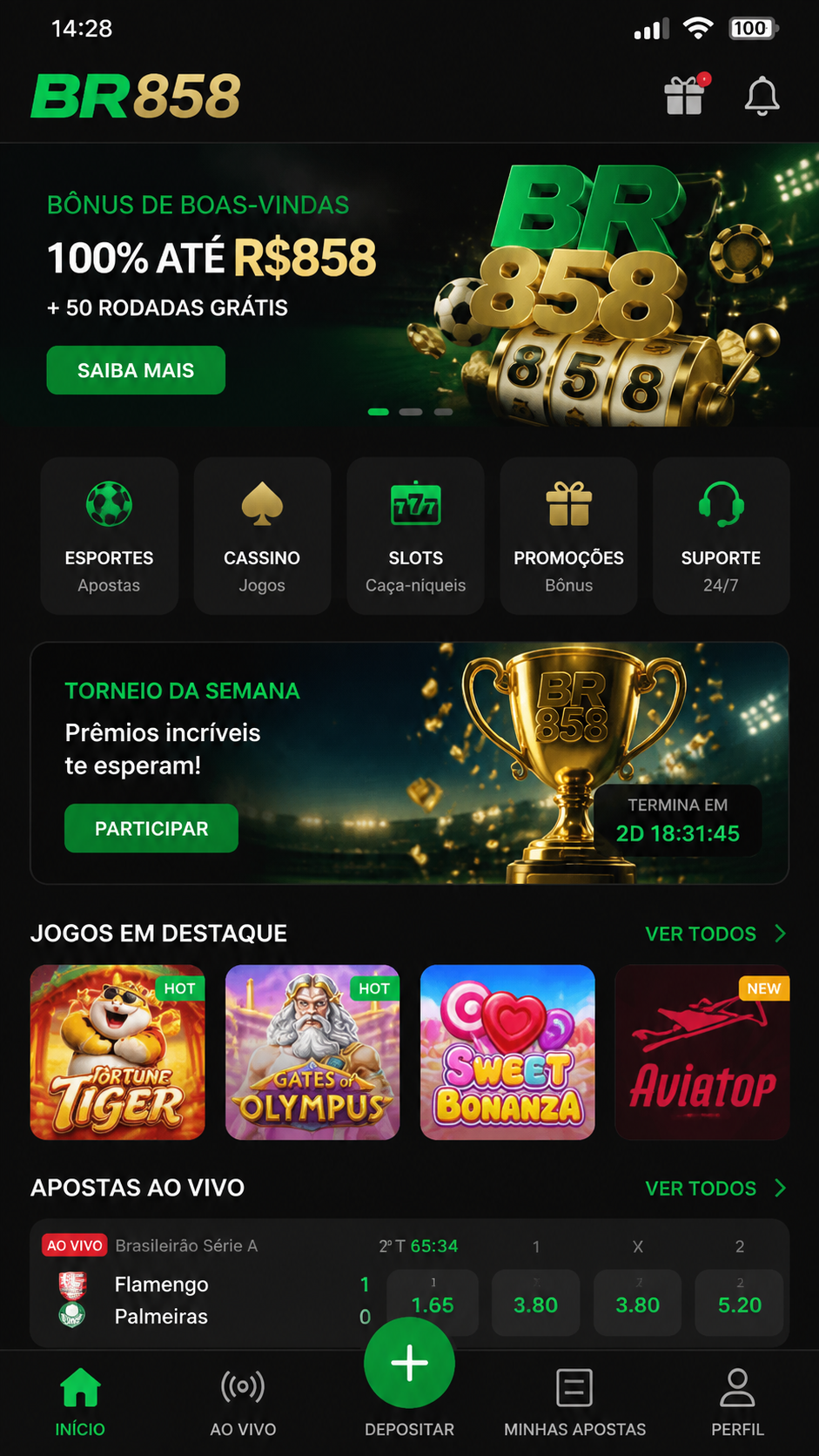 br858 screenshot
