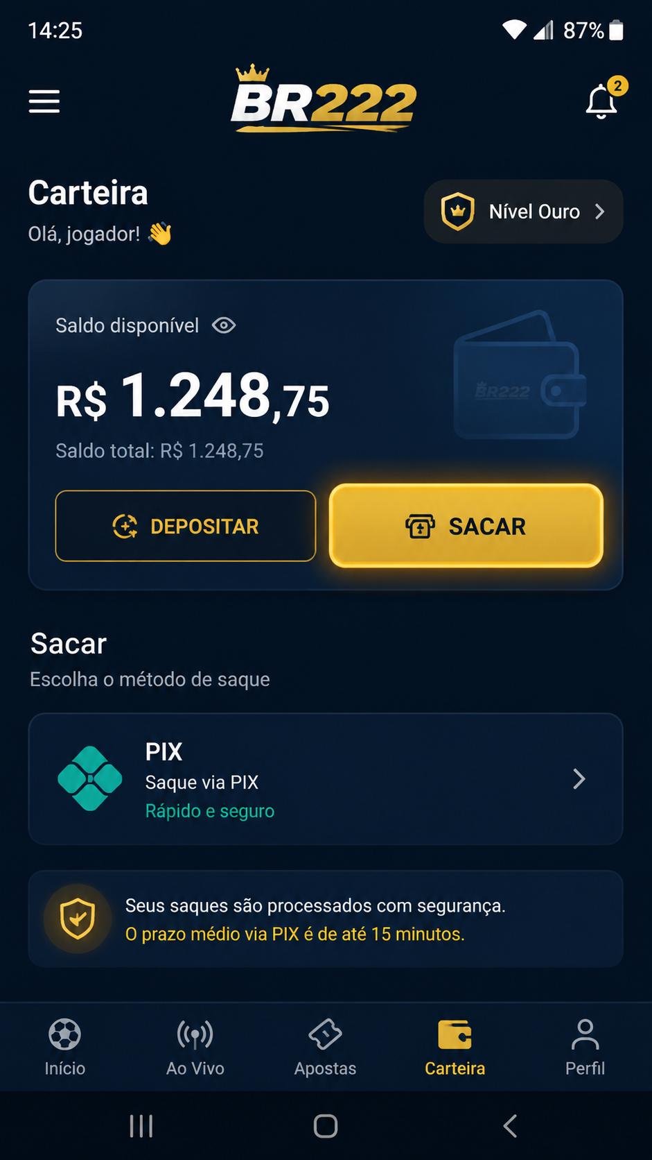 BR222 screenshot
