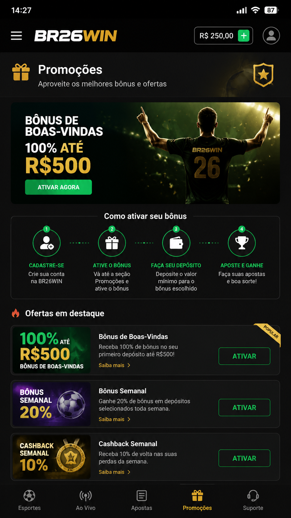 br26win screenshot