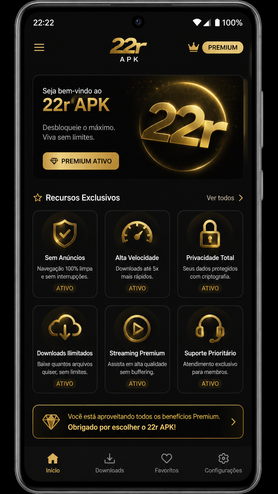 22r screenshot
