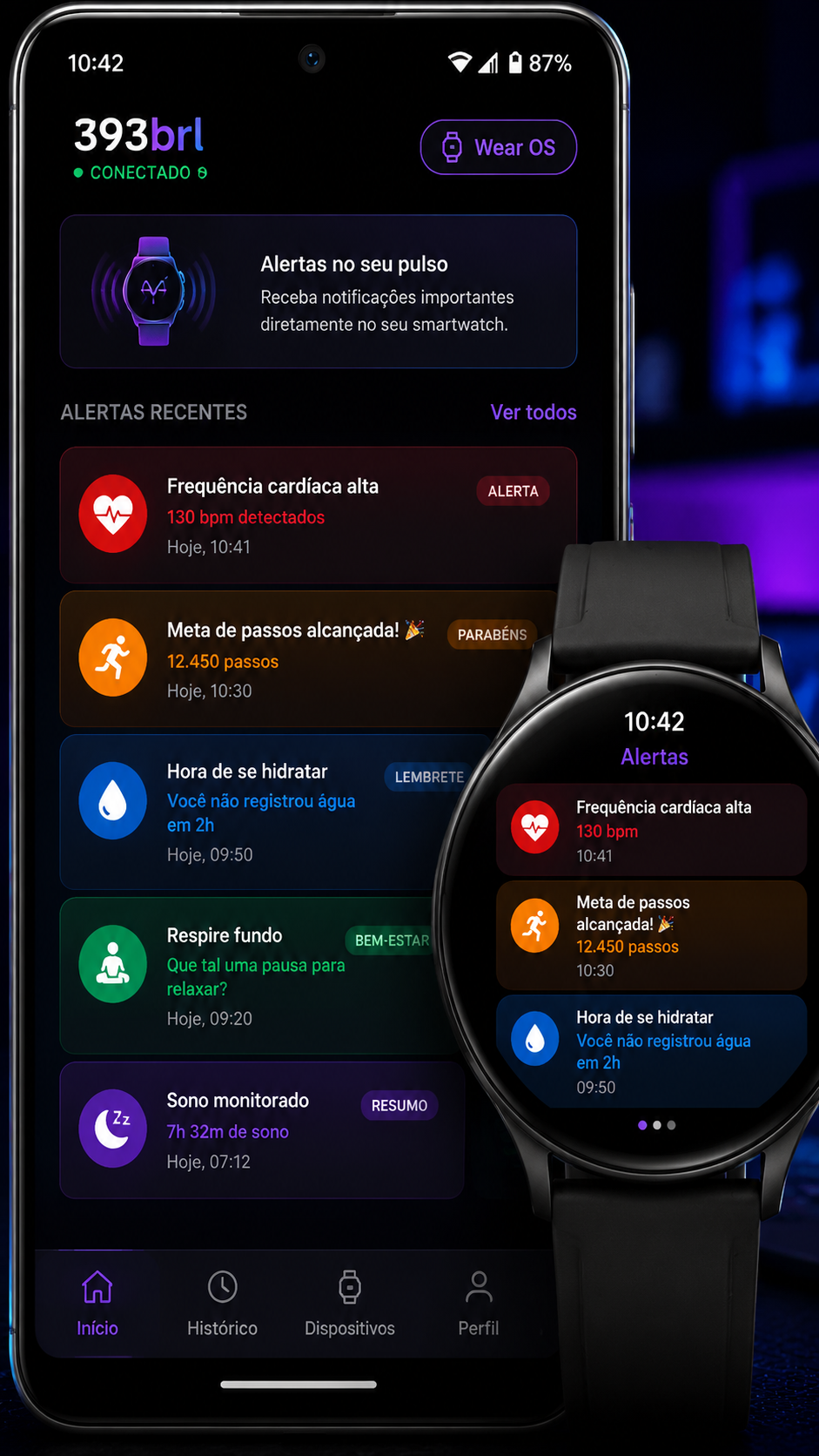 393brl screenshot