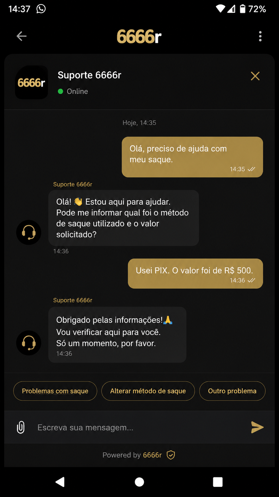 6666r screenshot