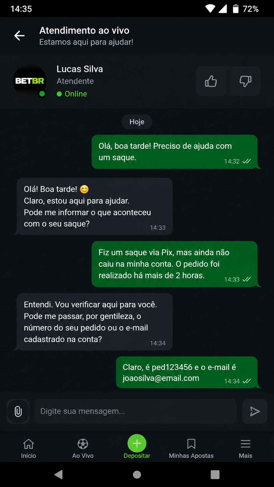 Capivaraty screenshot